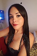  Como Morena Tx 339.7748749 foto selfie 15