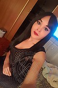  Como Morena Tx 339.7748749 foto selfie 14