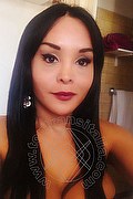  Como Morena Tx 339.7748749 foto selfie 12
