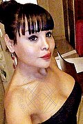  Como Morena Tx 339.7748749 foto selfie 2