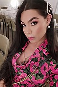  Amsterdam Kim Tifany 344.7063881 foto selfie 18