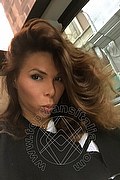  Milano Sheila Lamborghini 344.0149006 foto selfie 31