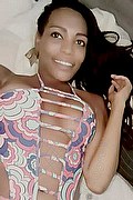  Bologna Naomy Xl 329.0167932 foto selfie 28