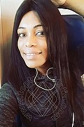  Bologna Naomy Xl 329.0167932 foto selfie 24