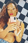  Bologna Naomy Xl 329.0167932 foto selfie 4
