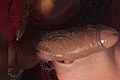  Bologna Naomy Xl 329.0167932 foto selfie 102