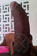 Bologna Naomy Xl 329.0167932 foto selfie 110