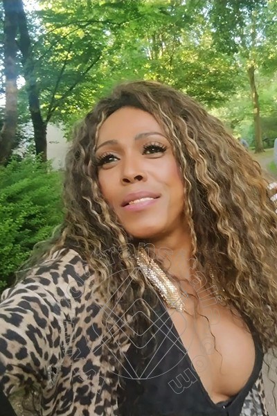 Foto selfie 16 di Paolina Mulatta trans Mestre