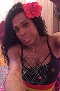  Mestre Paolina Mulatta 333.2910933 foto selfie 29