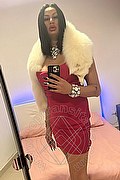  Genova Miranda Pinocchio Pornostar 329.4449590 foto selfie 5