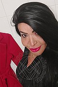 Prato Tainá Oliveira 328.5382487 foto selfie 79