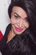 Prato Tainá Oliveira 328.5382487 foto selfie 82