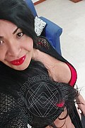  Prato Tainá Oliveira 328.5382487 foto selfie 76