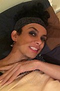  Reggio Emilia Sayda 345.3509360 foto selfie 50