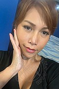 Foto selfie 1 di Liisa Orientale Asiatica Ladyboy trans Tropea