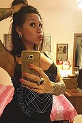  Rimini Alessandra Toledo Pornostar 339.6743933 foto selfie 238