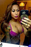  Rimini Alessandra Toledo Pornostar 339.6743933 foto selfie 227