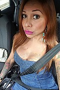  Rimini Alessandra Toledo Pornostar 339.6743933 foto selfie 222