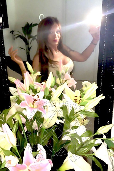 Foto selfie 1233 di Pamy La Diva Stellare trans Villorba