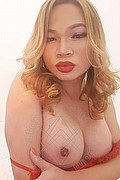  Roma Ladyboy Carlina 329.7693880 foto selfie 17