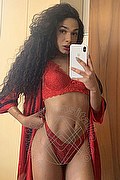  Novara Miele 331.7808280 foto selfie 66