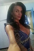  Alessandria Pamela Trans Fitness 351.1205888 foto selfie 8