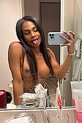  D�sseldorf Adhara 0049.15212409124 foto selfie 1