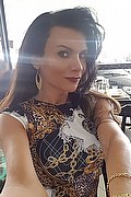  Alessandria Pamela Trans Fitness 351.1205888 foto selfie 28