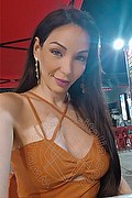  Parma Laviny Albuquerque Pornostar 389.0019370 foto selfie 3