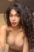  Novara Miele 331.7808280 foto selfie 22