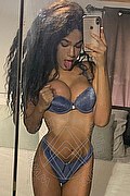  Novara Miele 331.7808280 foto selfie 9