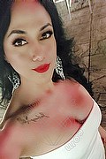  Verona Bianca Maravilla 380.7848515 foto selfie 5