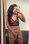  Novara Miele 331.7808280 foto selfie 87