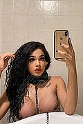  Novara Miele 331.7808280 foto selfie 44