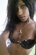  Recife Sabry 0055.81995397865 foto selfie 54