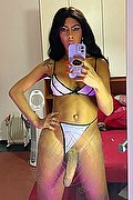 Foto selfie hot 2 di Vik Campana transescort Roma