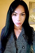  Bari Kelly Melo Pornostar 350.8096697 foto selfie 17
