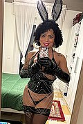  Milano Thayla Santos Pornostar 353.3051287 foto selfie 4