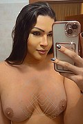Foto selfie 2 di Paulinha Ferraz transexescort Pordenone