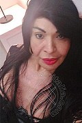  Prato Tainá Oliveira 328.5382487 foto selfie 55