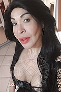  Prato Tainá Oliveira 328.5382487 foto selfie 45