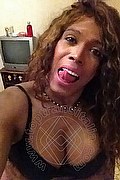  Mestre Paolina Mulatta 333.2910933 foto selfie 4