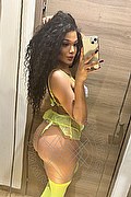  Novara Miele 331.7808280 foto selfie 5