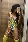  Novara Miele 331.7808280 foto selfie 79