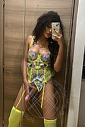 Foto selfie hot 2 di Miele transexescort Firenze