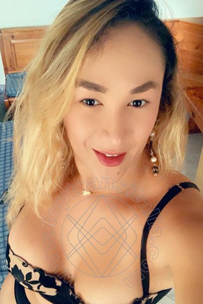 Foto selfie 34 di Gabriella Novita' trans Bari