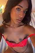 Foto selfie 1 di Alicia transexescort Rapallo