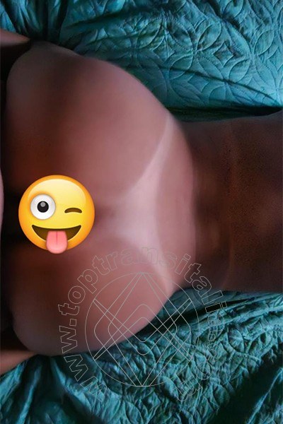 Foto selfie hot 1 di Aisha trans Genova
