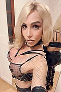 Foto selfie 2 di Diosa Tiffa transescort Palma di maiorca