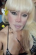  Milano Nicole Vip Venturiny 353.3538868 foto selfie 169